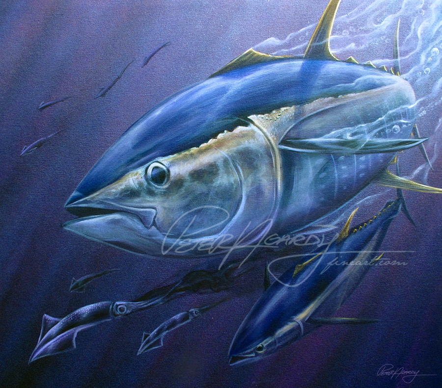 Sugar Water Purple - Yellowfin Tuna