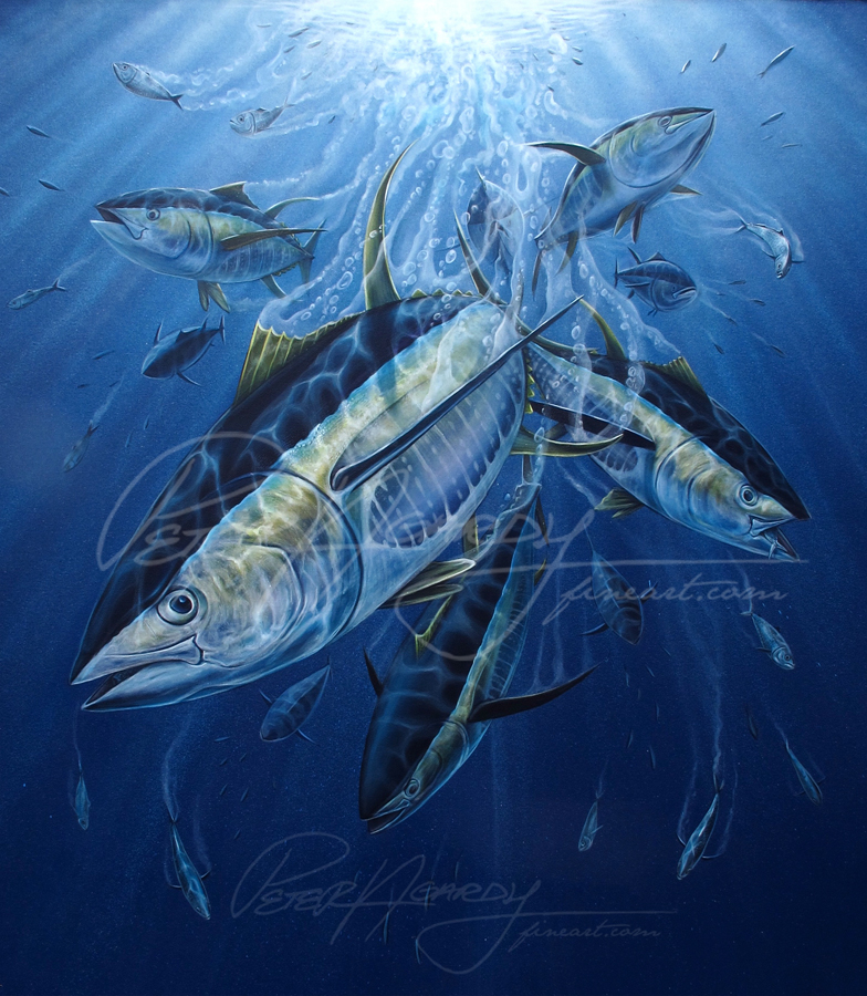 Tuna_PeterAgardy