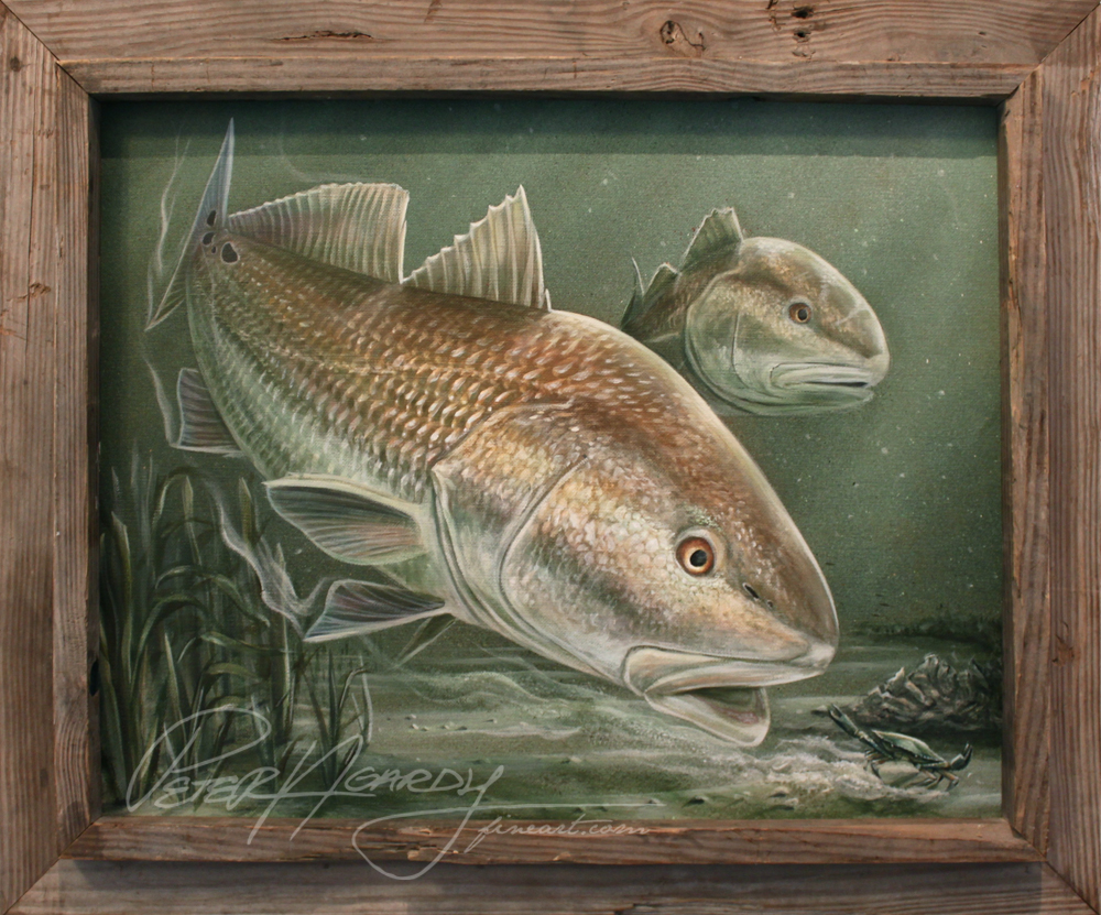 tailing redfish art