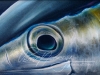 'Eye's on the Prize' (Tuna Eye)